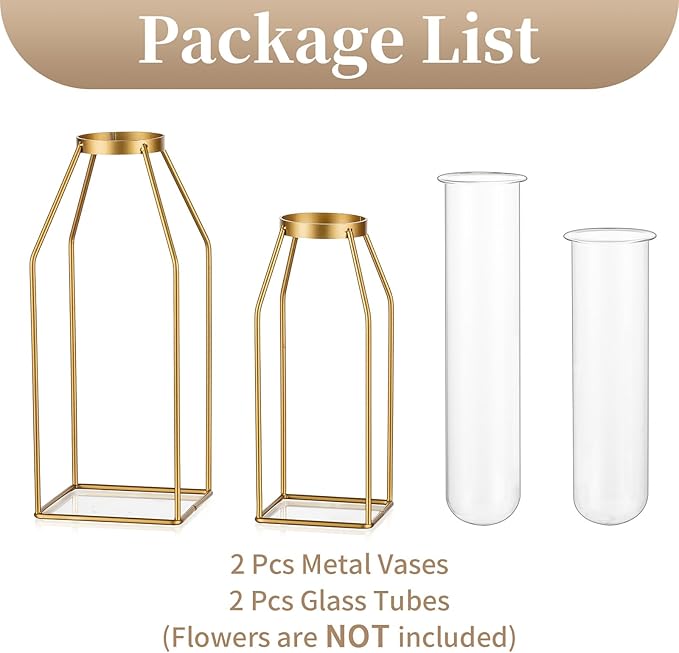 Sziqiqi Metal Flower Vase Table Decor - Gold Frame Vase with Glass Test Tubes 8"/10" Modern Bud Vase for Coffee Table Living Room Abstract Geometric Art Vase for Rose Hydroponic Plant Pampas