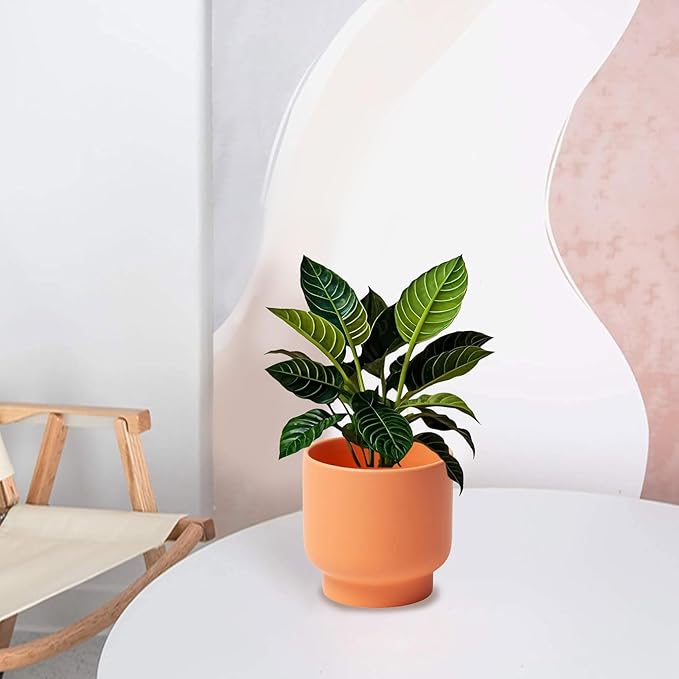LB Orange Ceramic Planters for Indoor Plants, Succulent Plant Pots Ceramic Flower Pots, Modern Plant Pot for Living Room Office Home Decor, Round Flower Pot of 4.3 Inch(Plant Not Included)