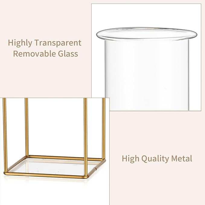 Sziqiqi Glass Propagation Station with Metal Frame - Gold Modern Geometric Square Vase for Plants, Room Decor, Office, Wedding