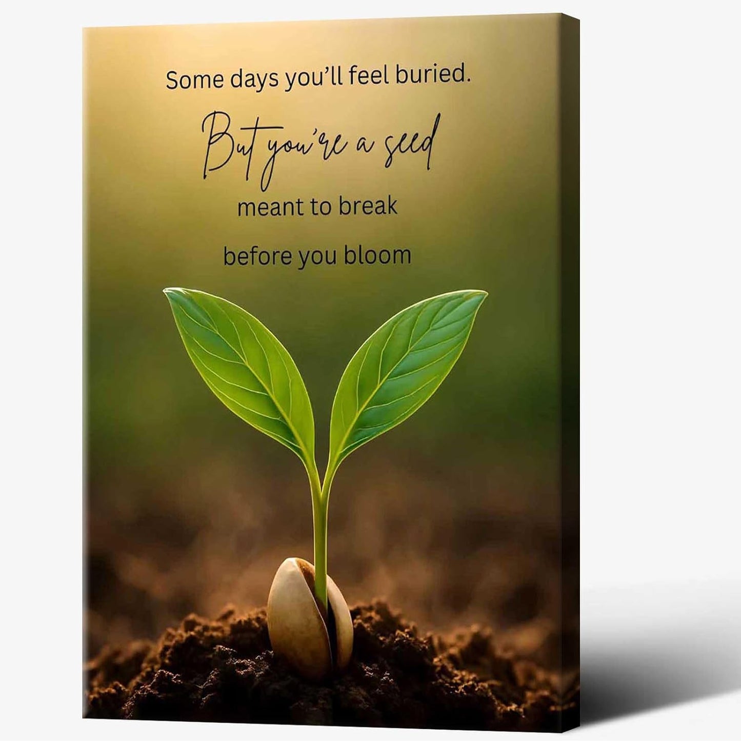 Inspirational Mental Health Poster Growth Mindset Wall Art Inspirational Text Seeds Prints Painting For School Office Wall Decor 24x36in Framed