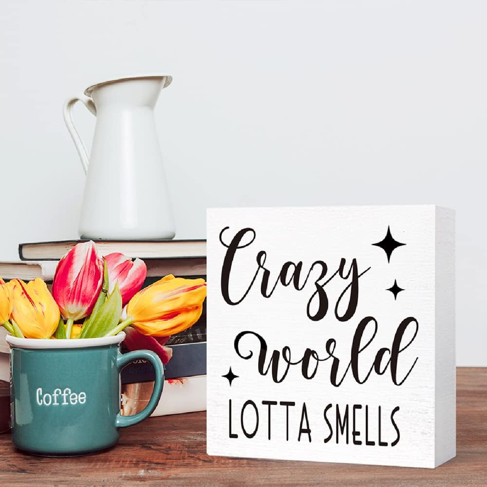 Funny Crazy World Lotta Smells Wood Block Sign for Shelf, Tabletop Decor - Farmhouse Bathroom Wooden Box Sign