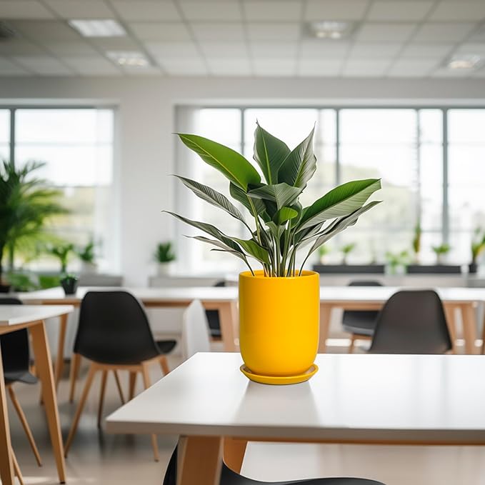 Plant Pot 8 Inch - Ceramic Plant Pot with Drainage Hole and Saucer Large Planter for Indoor Plants Outdoor Modern Flower Pot for Home Garden Decor Yellow