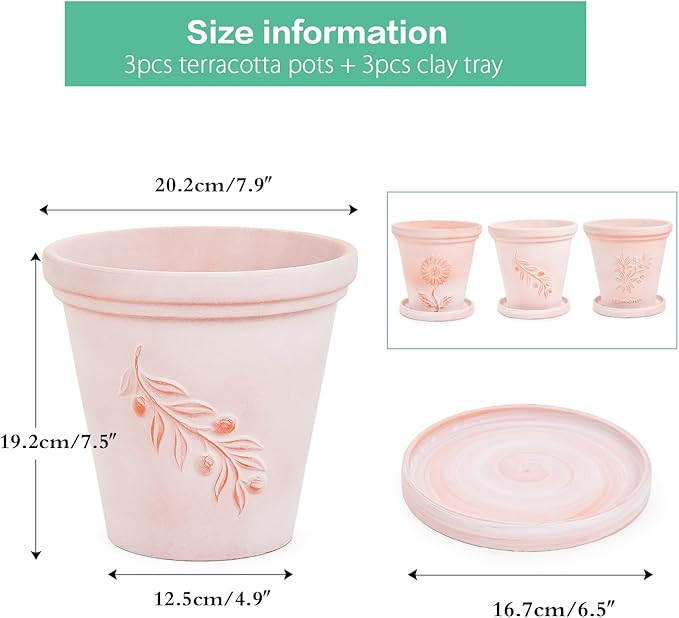 Sungmor Set of 3 Terra Cotta Pots with Saucer & Drainage Hole, 8 Inch Large & Deep Clay Pots, Unique Embossed & Pretty Color Pottery Planters for Plants Orchid Cactus Succulent