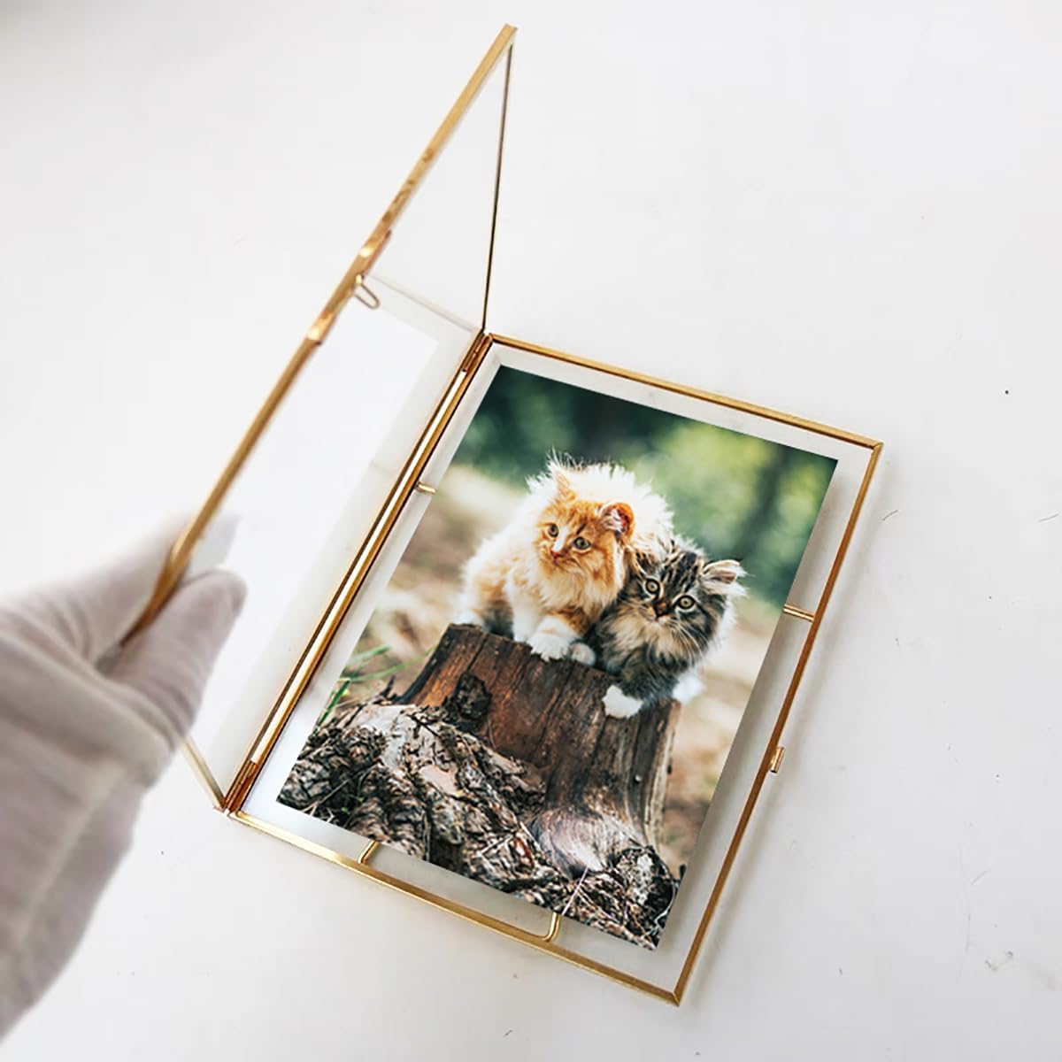 Gold Picture Frame - 4x6 Antique Brass Postcard Picture Frame for Desk - Small Pressed Glass Frame for Pressed Flowers - Floating Vertical… (Gold, 5x7 inches)