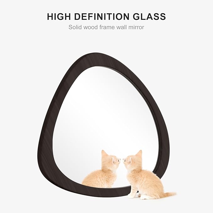 WallBeyond Asymmetrical Mirror, Irregular Wall Mirror, Wall Mirrors Decorative for Bedroom Living Room Entryway Hall, Wood Mirror for mid Century Modern Decor 23" H x 19" W, Black