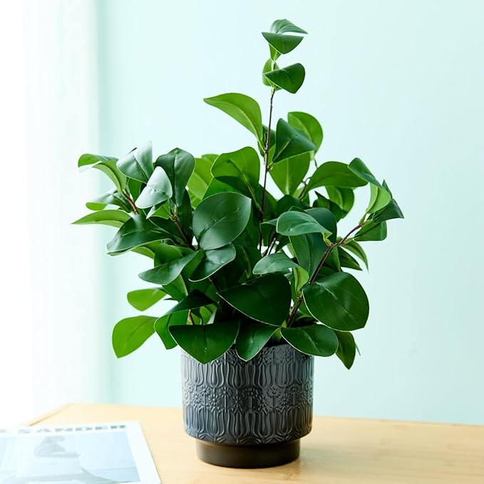 19" Artificial Ficus Plant in Textured Black Ceramic Planter Tall Faux Plant with Deep Green Leaves for Modern Home Office Shelf Bathroom Tabletop Indoor Decor