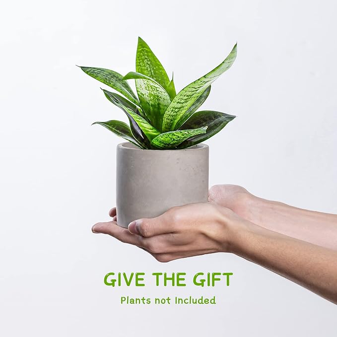 Ekirlin 3.5 inch Plant Pot Indoor, Grey Cement Flower Planters for Home Decor, Modern Succulents Containers with Drain Hole, Removable Rubber Stopper, Non-Slip Soft Pad, for Most Plants and Flowers