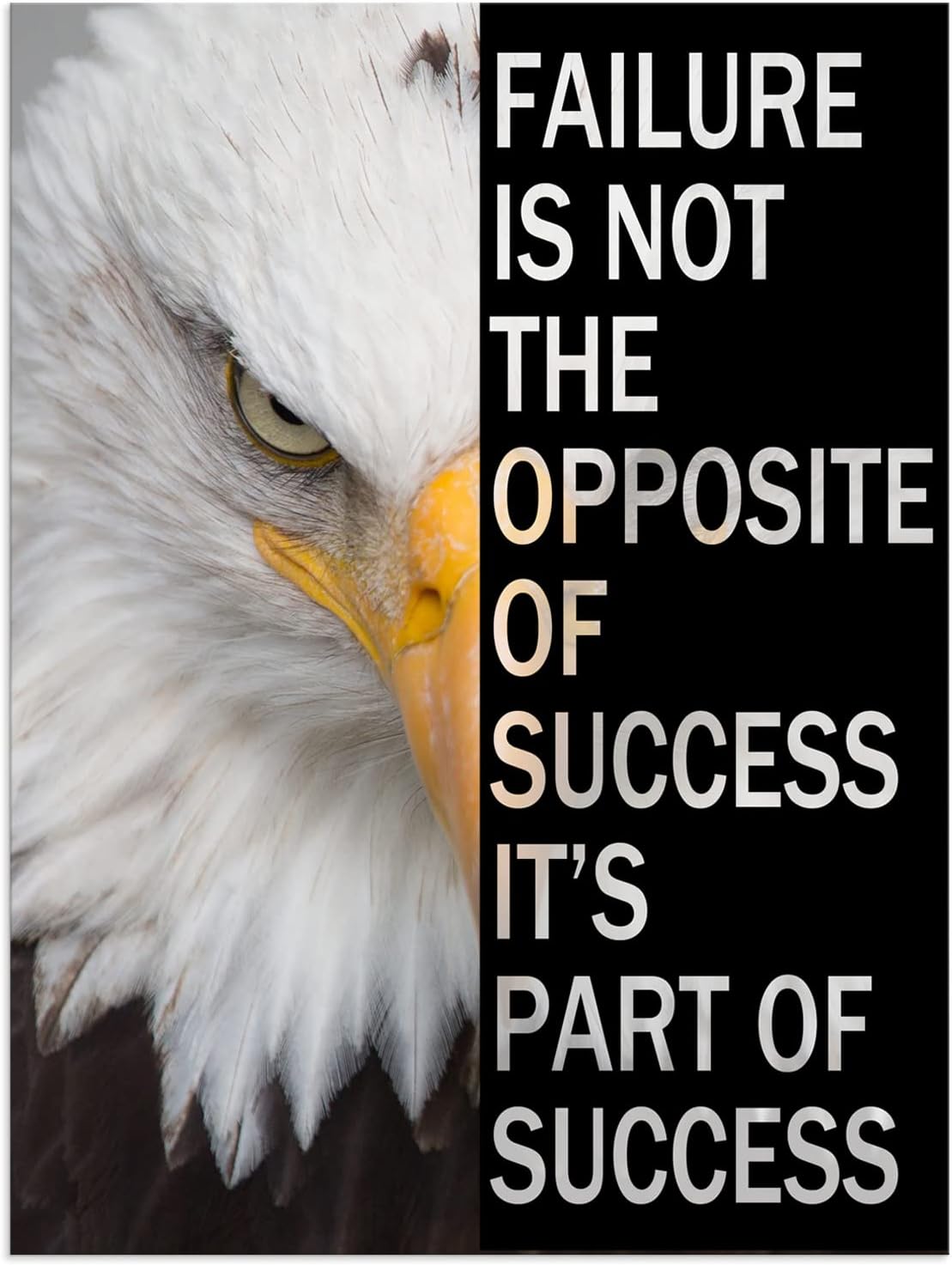 Inspirational Wall Art Motivational Entrepreneur Quotes Poster Canvas Print Art Eagle Animal Picture Office Wall Decor for Living Room Bedroom Decoration Framed Ready to Hang[18"W x 24"H]