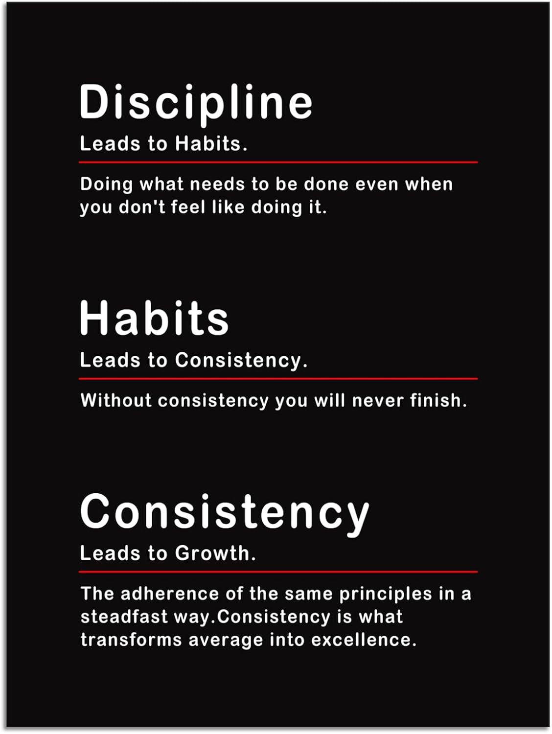 Inspirational Canvas Wall Art Discipline Habits Consistency Poster Motivational Painting Artwork Inspirational Picture Print Framed Office Living Room Gym Wall Decor Ready to Hang[18''W X 24''H]