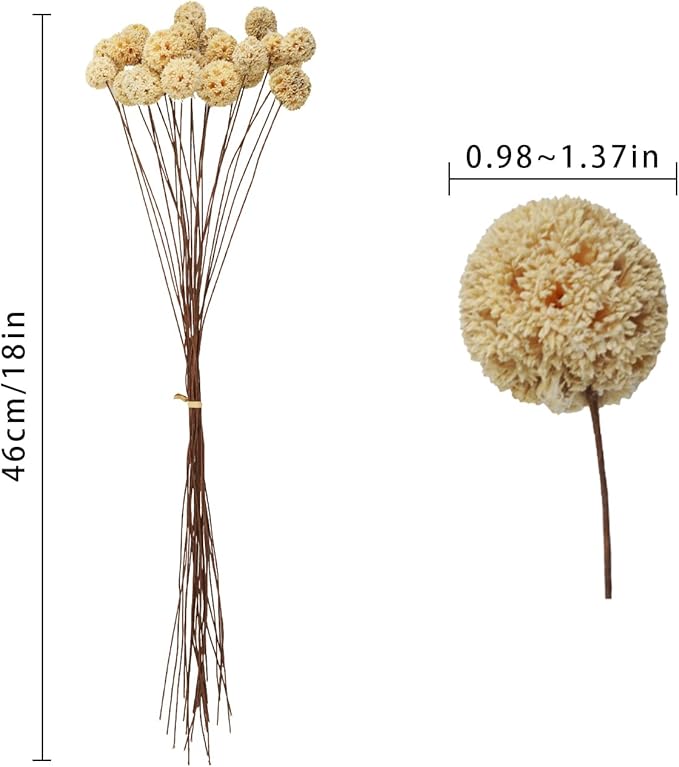 24 PCS Dried Craspedia Billy Balls Flowers, 18” Natural Dried Flowers Bouquet for Vase Floral Arrangements Wedding Table Centerpieces Party DIY Home Decor (White)