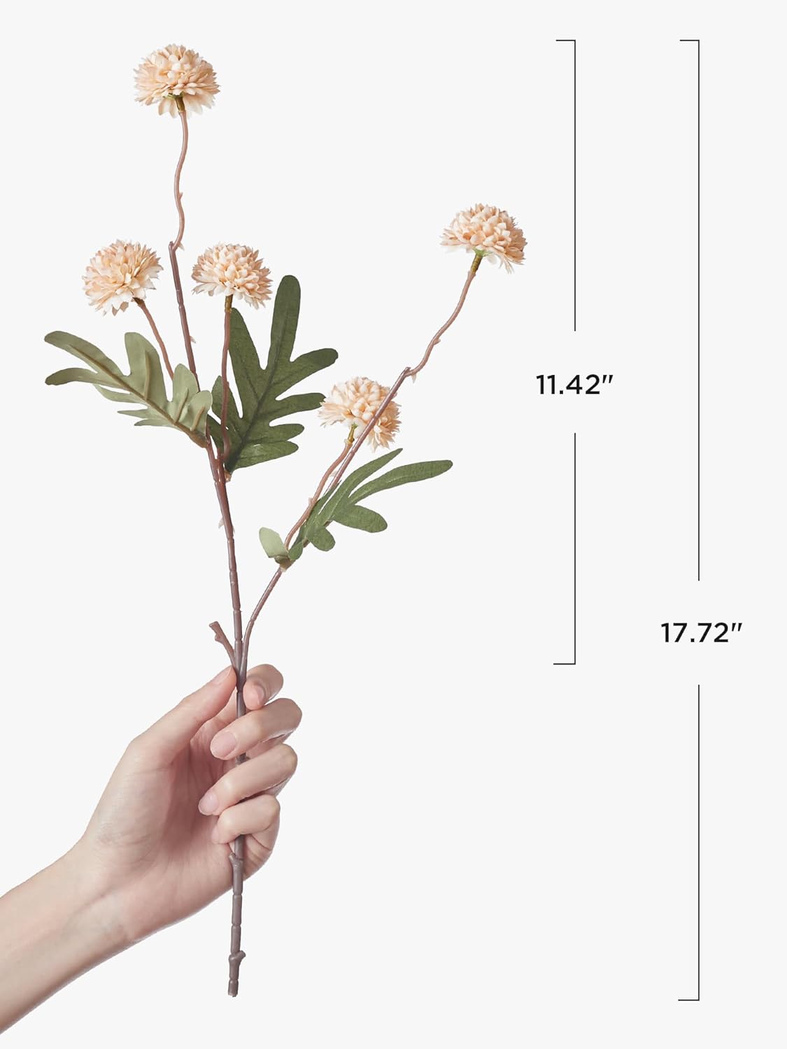 InnoGear Silk Flowers Pompon Mums Artificial Flowers, 5pcs 25 Heads Fake Mini Chrysanthemums with Long Stems Bulk Faux Kiku Flower for Decoration Memorial DIY Wedding Bouquets Centerpieces, Beige