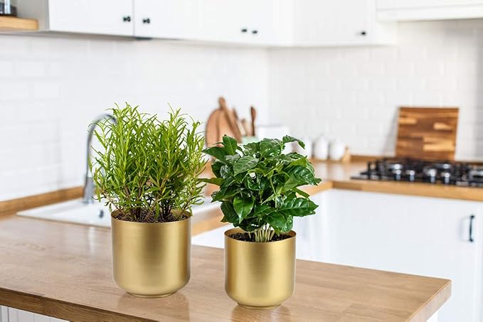 Vixdonos Large Gold Planters Metal Aloe Brass-Tone Plant Pots Indoor Decorative Flower Pots with Drain Holes(8+7.1Inch)
