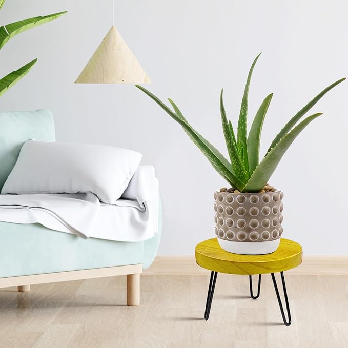 OBTAIN Plant Stand Indoor Outdoor, Wooden plant Stool, Mid Century Plant Stand for Indoor Plants, Wood Modern Plant Holder Rattan Flower, Low Short Boho Rustic Planter Stand Fit 5-15 Inch Pot(M)