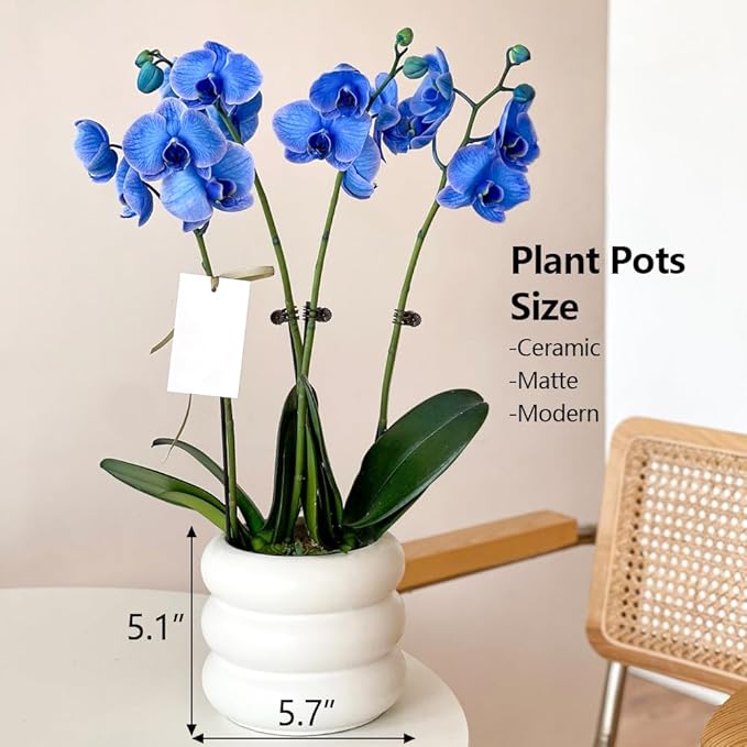 6.5 Inch Modern White Ceramic Planter Pot with Drainage Holes, Suitable for Indoor Plants, Cute Unique Planters for Home & Office Decor