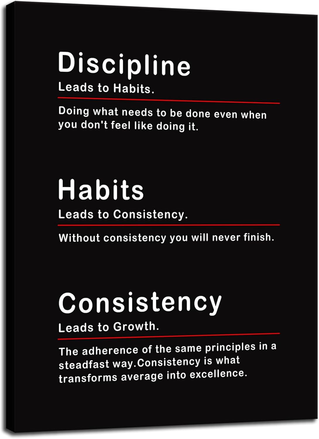 Inspirational Canvas Wall Art Discipline Habits Consistency Poster Motivational Painting Artwork Inspirational Picture Print Framed Office Living Room Gym Wall Decor Ready to Hang[18''W X 24''H]