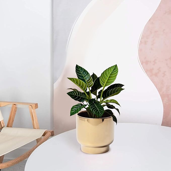 LB Gold Ceramic Planters for Indoor Plants, Succulent Plant Pots Ceramic Flower Pots, Modern Plant Pot for Living Room Office Home Decor, Round Flower Pot of 4.3 Inch(Plant Not Included)