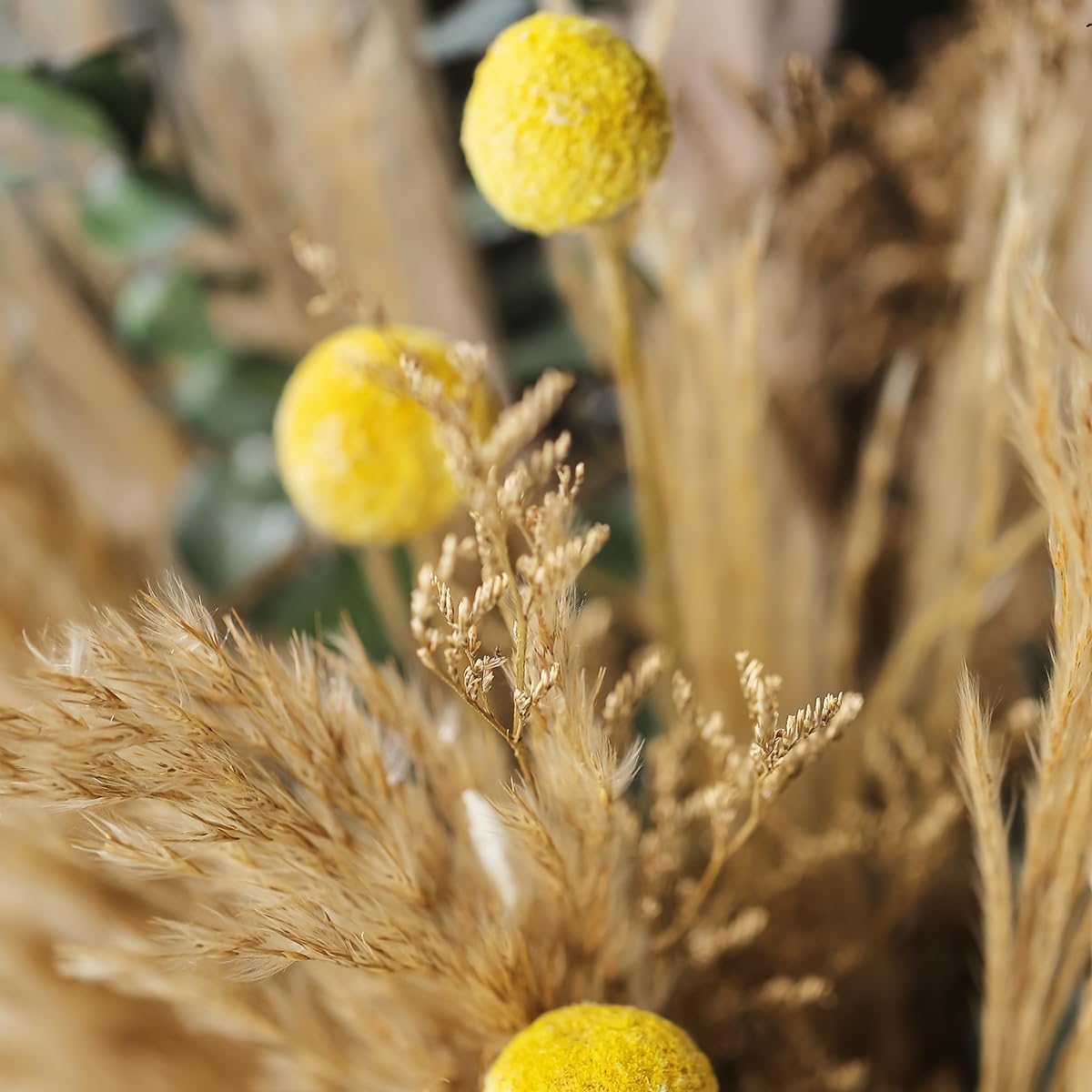 Dried Flowers Boho Bouquet,Pampas Grass for Western Decor,Rustic Farmhouse Flower for Bohemian Home,Bedroom,Living Room,Wedding Table Centerpieces (Bouquet_B, 17 inches)