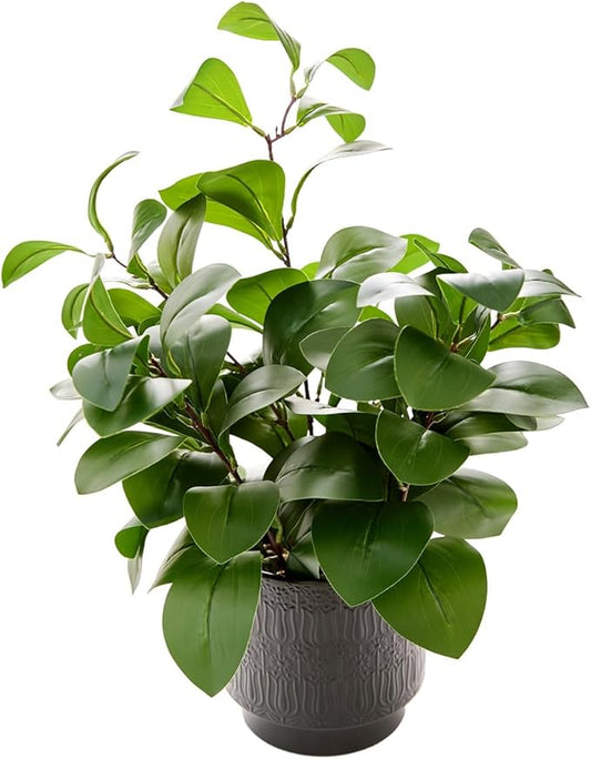 19" Artificial Ficus Plant in Textured Black Ceramic Planter Tall Faux Plant with Deep Green Leaves for Modern Home Office Shelf Bathroom Tabletop Indoor Decor