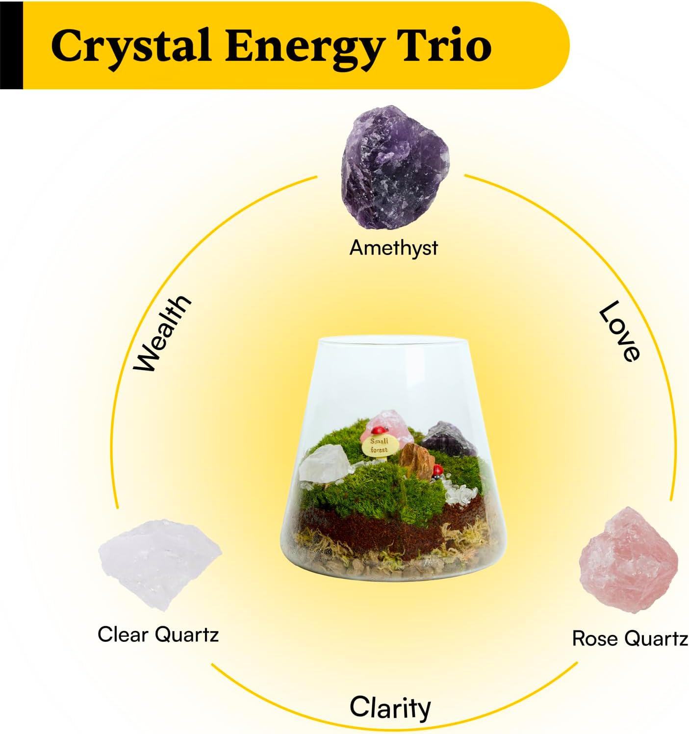 DIY Crystal Terrarium Kit– All-In-One Starter Kit with Perserved Moss, Pumice, Crystals, Coconut Coir, Gardening Tools & Decor | Healing Gift for relaxing | Plants & Crystal Lovers | Home & Desk Decor