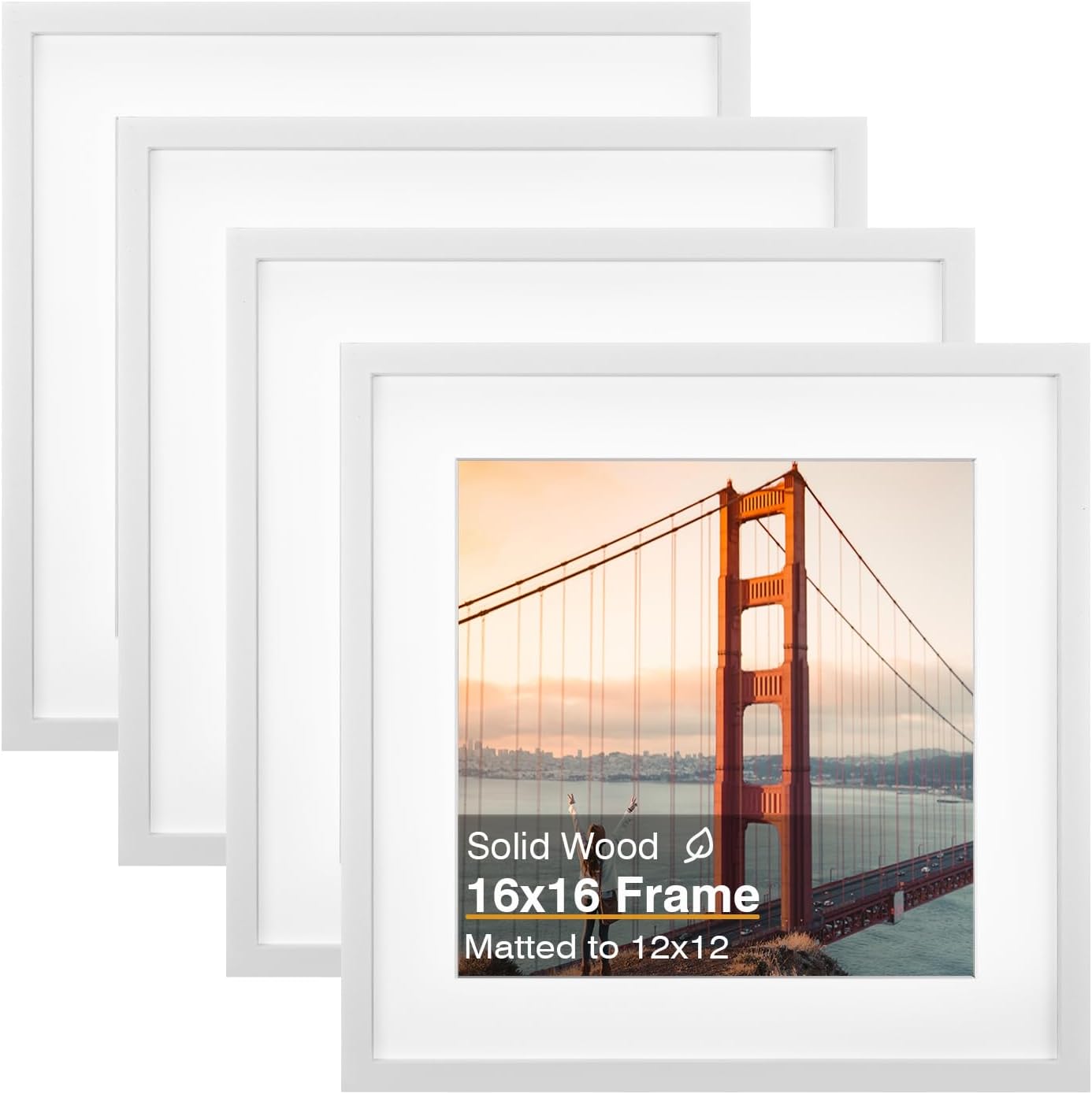 KINLINK 16x16 Picture Frame, White Square Solid Wood Frames for Pictures 12x12 with Mat or 16x16 without Mat, Wall Display Photo Frames White 1 Pack