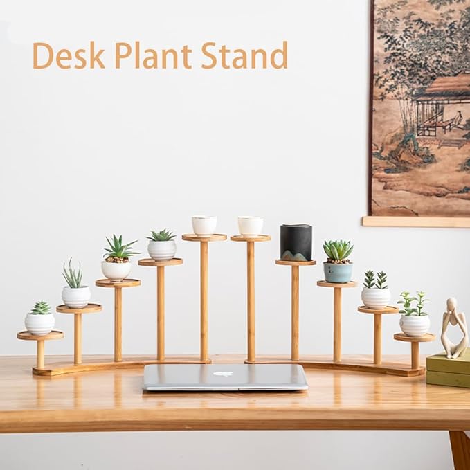 5 Tiers Desk Plant Stand Window Sill Plant Shelf Tabletop Succulent Stand Flower Pot Stand Holder Desktop Plant Stand Indoor Plant Rack for Succulent Herb in Living Room Office (Circle)