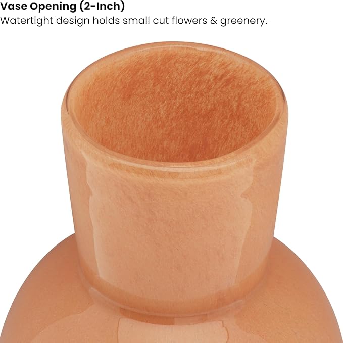 Torre & Tagus 6" Mouth Blown Art Glass Vase for Flowers - Apricot Orange Small Table Vase & Handmade Small Orange Accent as Cozy Home Decor, Neutral Bud Vases for Decorative Shelf Decor or Wedding