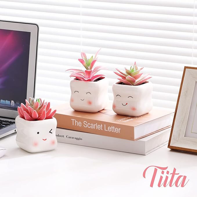 Tiita Cute Artificial Faux Succulents in Pots, Pink Fake Plants Ceramic Arrangement Planter Small Mini Tiny Decoration for Home Office Accessories Women Desk Window Sill Bathroom Bedroom