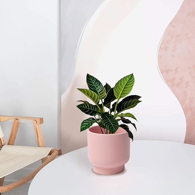 LB Pink Ceramic Plant Pots for Indoor Plants, Succulent Planters Ceramic Plant Pot, Cute Flower Pots for Living Room Office Home Decor, Round Flower Pot of 4.3 Inch(Plant Not Included)