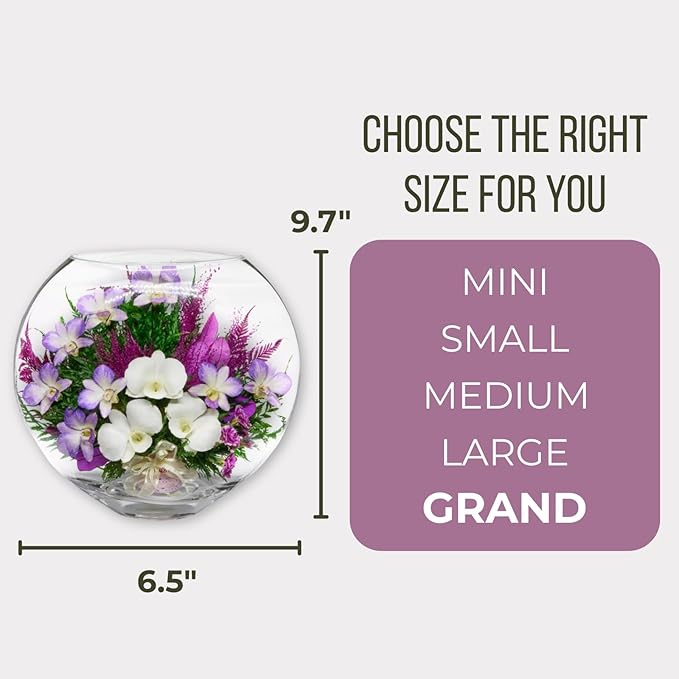 Fiora Flower Elegant Orchid Arrangement in Glass Vase | Preserved Real Orchids Lasting 5 Years | Ideal for Home Decor or Romantic Gift