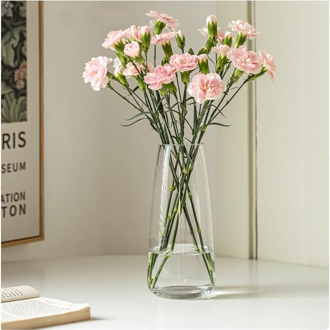FANTESTICRYAN Modern Glass Vase Irised Crystal Clear Glass Vase for Home Office Decor (Crystal Clear)