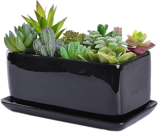 VanEnjoy 10 Inch Black Rectangle Ceramic Succulent Planter Pot Decorative Cactus Plant Pot Flower Container with Ceramic Tray