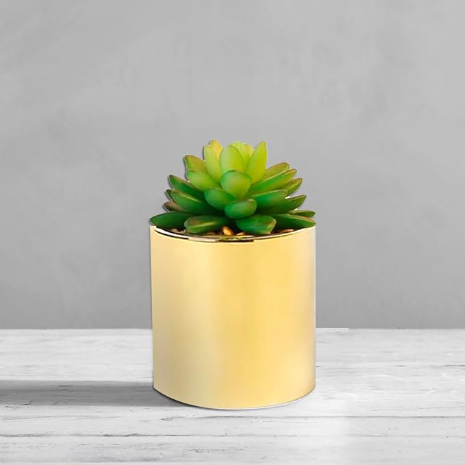 Faux Succulent Artificial Plants 7'' & 5'' in Pots Home Decoration Set of 2 Gold Pots