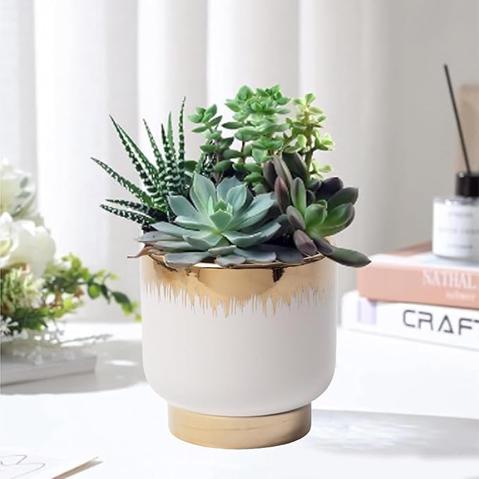 LB White Gold Ceramic Plant Pot for Indoor Plants, Succulent Planters Ceramic Plant Pots, Modern Flower Pots for Living Room Office Home Decor, Round Flower Pot of 4.3 Inch(Plant Not Included)