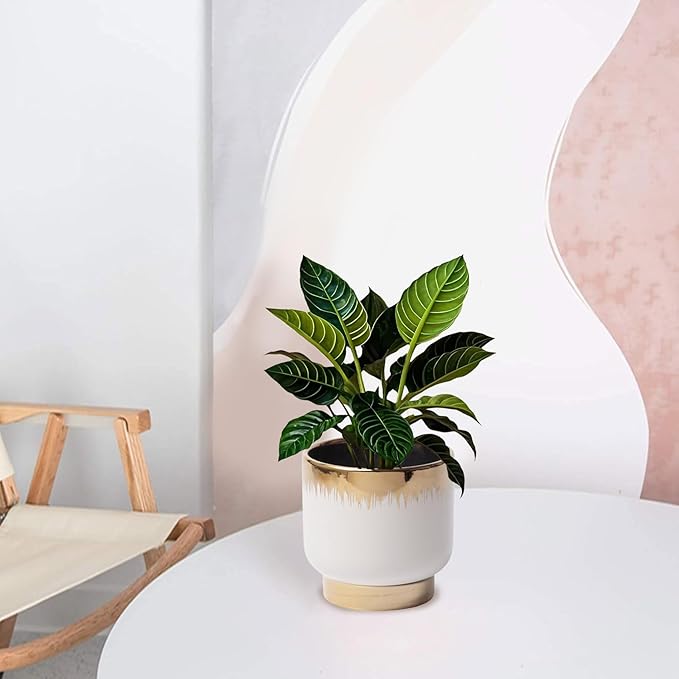 LB White Gold Ceramic Plant Pot for Indoor Plants, Succulent Planters Ceramic Plant Pots, Modern Flower Pots for Living Room Office Home Decor, Round Flower Pot of 4.3 Inch(Plant Not Included)