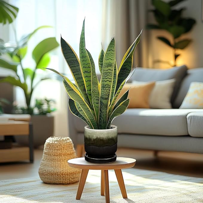 Oairse Ceramic Pot for Plants - 5.5 inch Small Planter with Drainage Hole and Saucers - Gradient Black Outdoor Indoor Flower Pot for Succulent, Cactus, Snake Plant, Herb