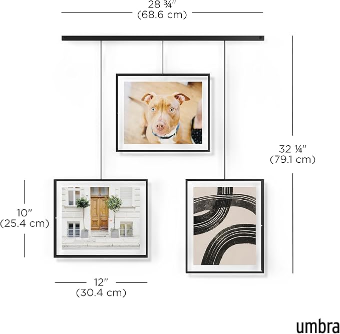 Umbra Exhibit Wall Frame with Metal Rod for Hanging-Rimless Design-Suitable for Living Room, Bathroom, Bedroom, Entryway and More, Black