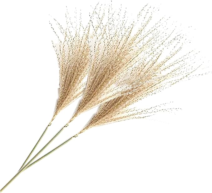 Uieke 300Pcs Natural Dried Pampas Grass Plume 17inch Tall Dried Flowers Bulk Reed Dried Plants for Wedding Flower Arrangements Farmhouse Wreath Door Centerpiece Home Décor Brown
