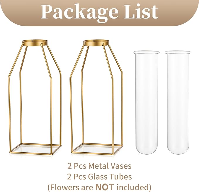 Sziqiqi Glass Tube Vase with Metal Stand - Modern Flower Vase Propagation Station for Plants Minimalistic Wire Square Vase for Room Decor Office Wedding Table Decoration