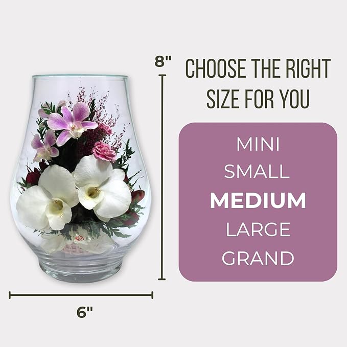 Fiora Flower Elegant Orchid Arrangement in Glass Vase | Preserved Real Orchids Lasting 5 Years | Ideal for Home Decor or Romantic Gift (Opal)