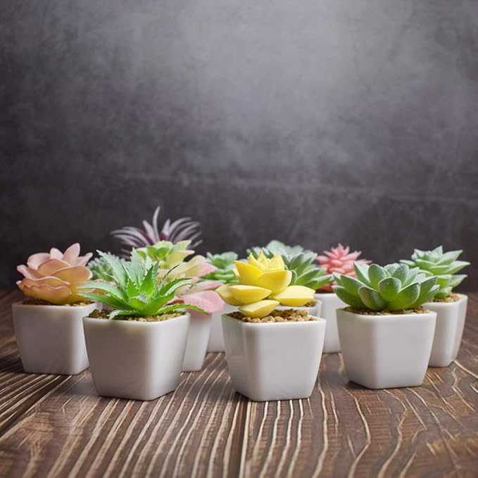 Tiita 24 Set Artificial Faux Succulents in Pots Fake Plants Plastic Arrangement Planter Small Mini Tiny Decoration for Home Office Desk Window Sill Bathroom Bedroom Outdoor Indoor