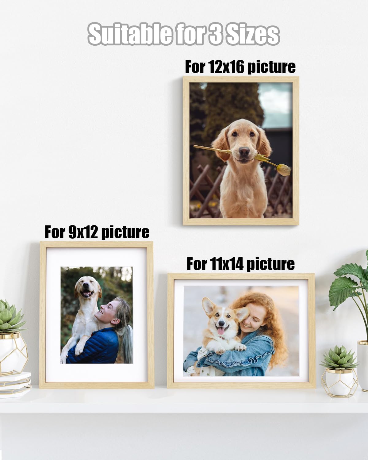 Egofine 12x16 Picture Frames Set of 4, Made of Solid Wood Covered by Plexiglass 9x12 and 11x14 with Mat or 12x16 without Mat, for Wall Mounting Photo Frame Oak Wood