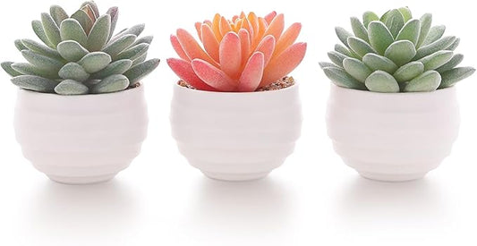 Tiita Artificial Faux Succulents in Pots Fake Plants Ceramic Arrangement Planter for Women Desk Small Mini Tiny Decoration for Home Office Desk Window