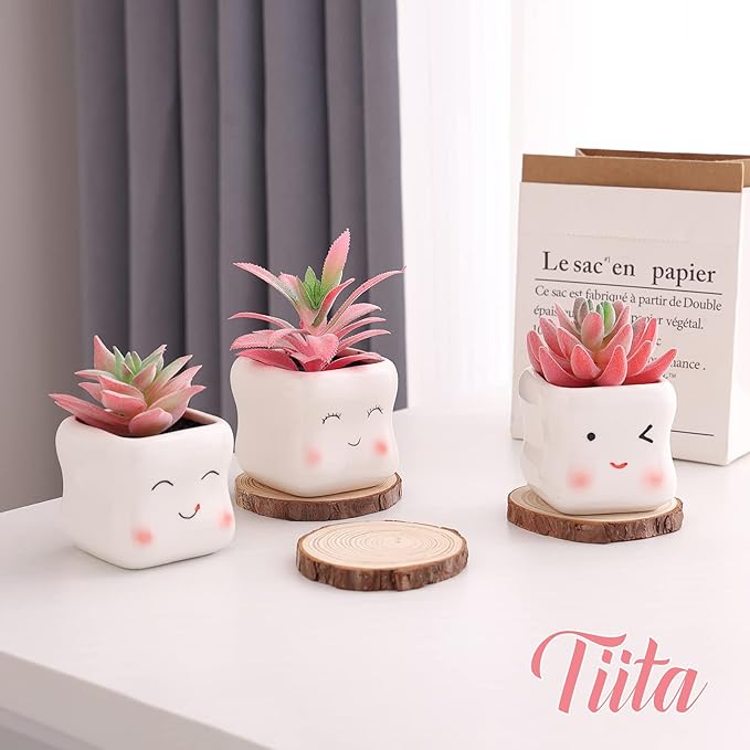 Tiita Cute Artificial Faux Succulents in Pots, Pink Fake Plants Ceramic Arrangement Planter Small Mini Tiny Decoration for Home Office Accessories Women Desk Window Sill Bathroom Bedroom