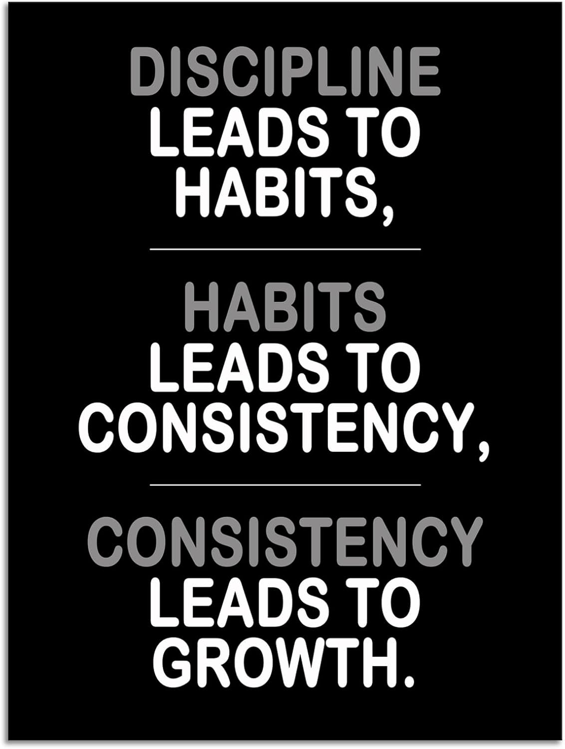Inspirational Posters Discipline Habits Consistency Growth Painting Picture Prints on Canvas Motivational Entrepreneur Quotes for Living Room Office Home Wall Decor House Decor Framed[30''W X 40''H]