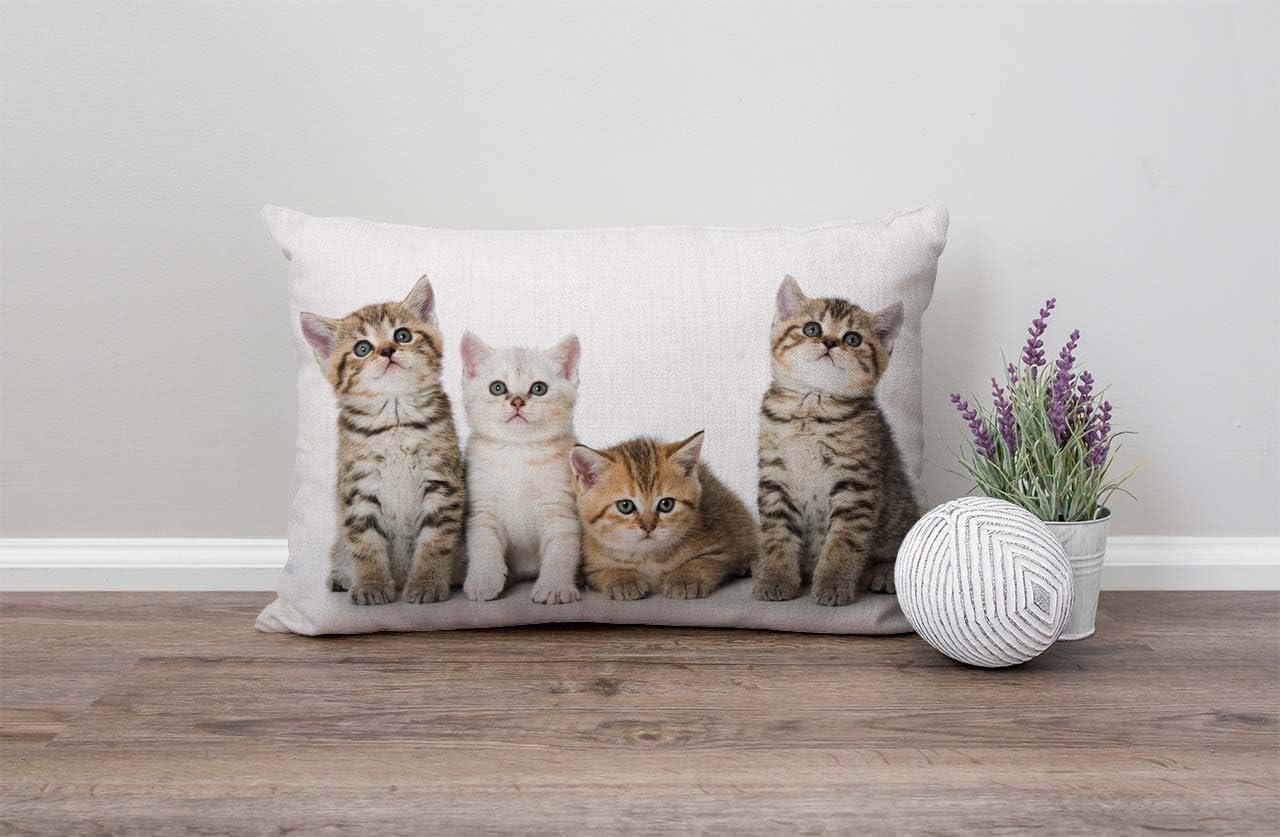 Colourful Creative Cared Cats Cotton Linen Decorative Throw Pillow Case Cushion Cover Pillowcase for Couch Sofa Bed,12 X 20 Inches