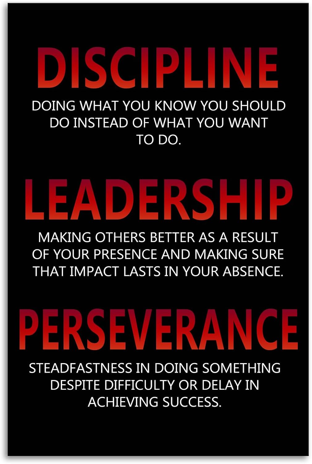 Inspirational Poster Discipline Leadership Perseverance Quote Motivational Wall Art for Office Canvas Painting Prints Wall Pictures for Living Room Bedroom Decor Framed Artwork [24''W x 36''H]