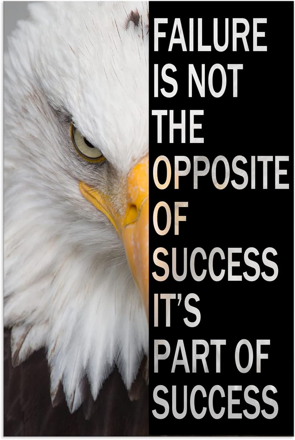 Inspirational Canvas Wall Art Motivational Animal Eagle Poster Inspiring Entrepreneur Positive Quote Success Picture Print Artwork Living Room Home Office Decor Frame Ready to Hang[12''W X 18''H]