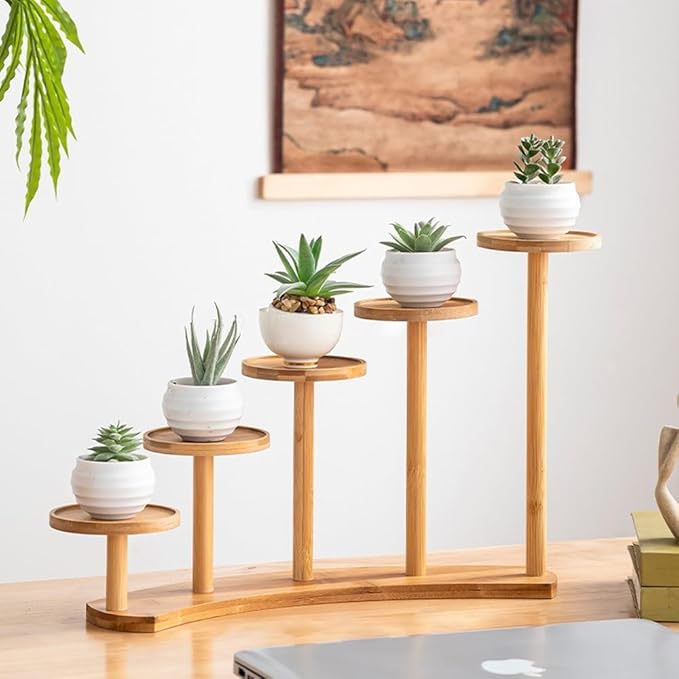 5 Tiers Desk Plant Stand Window Sill Plant Shelf Tabletop Succulent Stand Flower Pot Stand Holder Desktop Plant Stand Indoor Plant Rack for Succulent Herb in Living Room Office (Circle)
