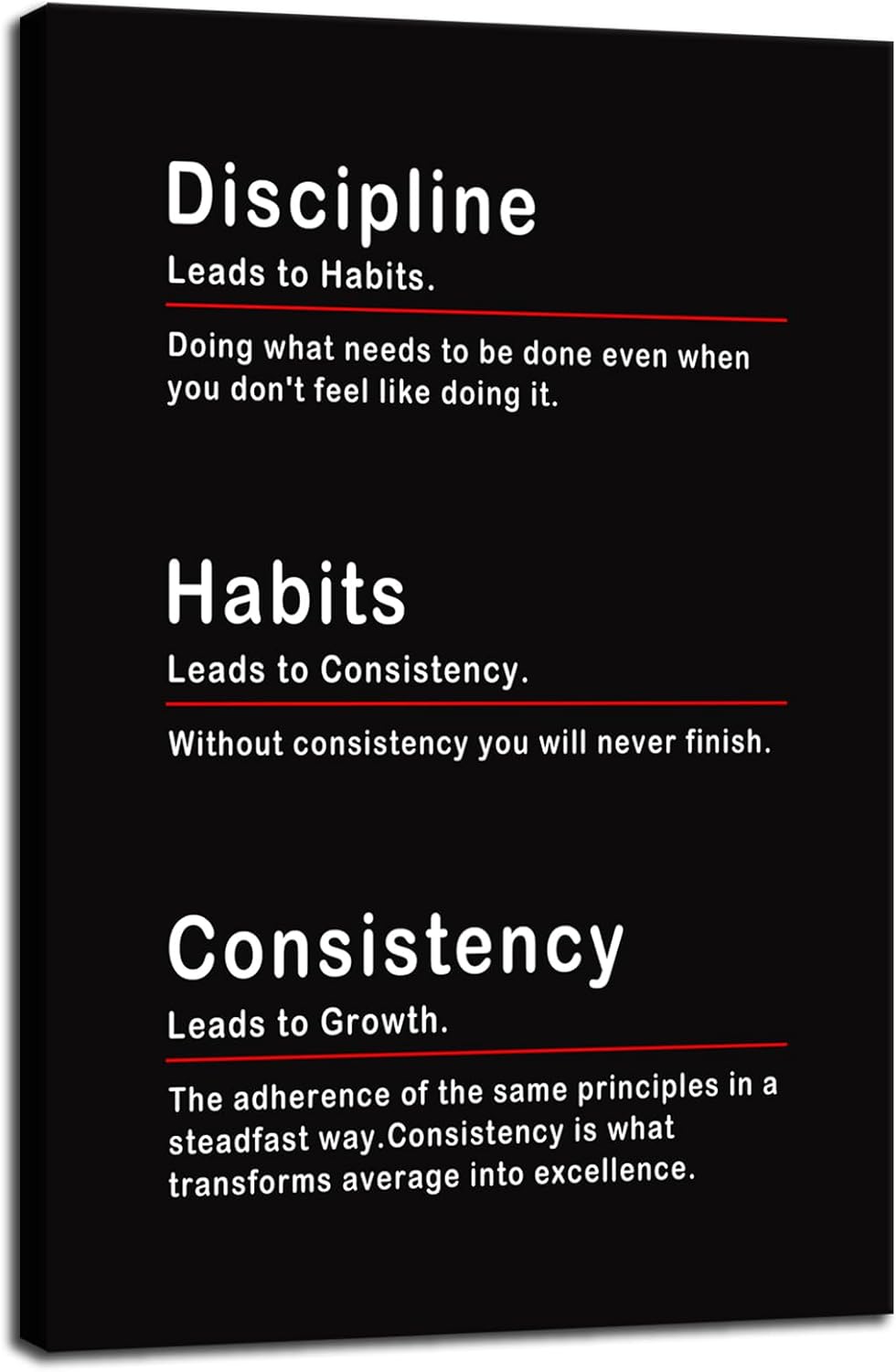 Discipline Habits Consistency Motivational Office Wall Decor Inspiring Posters Inspirational Canvas Wall Art Prints Wall Picture Paintings Artwork Home Living Room School Decor Framed[24''W x 36''H]