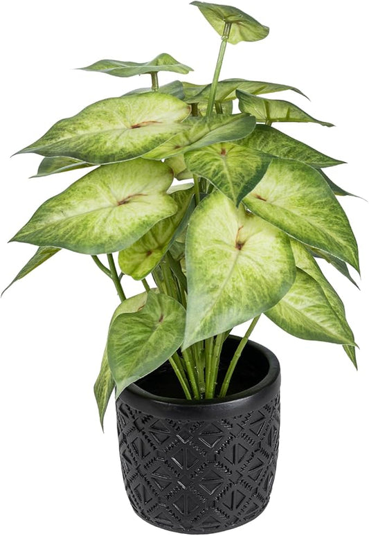 MyGift Artificial Arrowhead Plant Potted in Black Concrete Pot with Geometric Embossed Pattern, Faux Syngonium Podophyllum 'White Butterfly' Green Leaf Indoor Home Table Decor